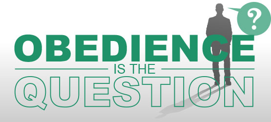 The Answer’s Simple—Obedience Is the Question