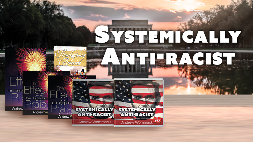 Systemically Anti-Racist products banner