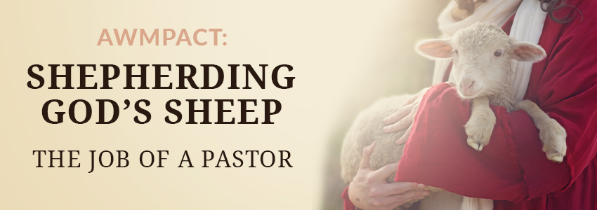 Shepherd Holding Sheep